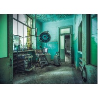 Ravensburger - Lost Places: The Madhouse Puzzle 1000pc