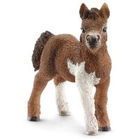 Schleich - Shetland Pony Foal 13752