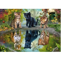 Schmidt - Dream Big! Puzzle 1000pc