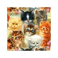 Sunsout - A Pile Of Kittens Puzzle 1000pce