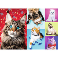 Trefl - Happy Cats Puzzle 1000pc