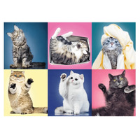 Trefl - Kittens Puzzle 500pc