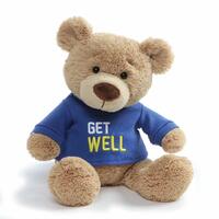 Gund - Get Well Soon Bear  Boy