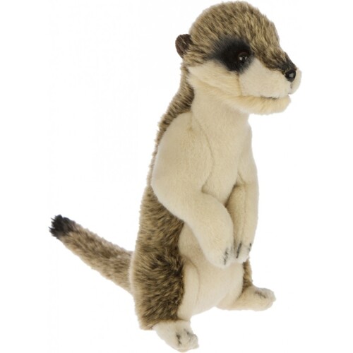 Bocchetta - Boris Meerkat Plush Toy 26cm