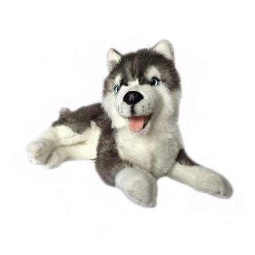 Bocchetta - Madison Siberian Husky Plush Toy 40cm