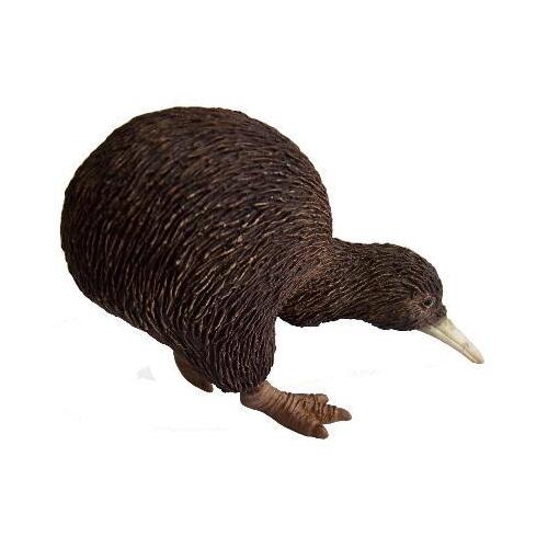 Science & Nature - Kiwi