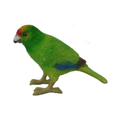 Science & Nature - Kakariki