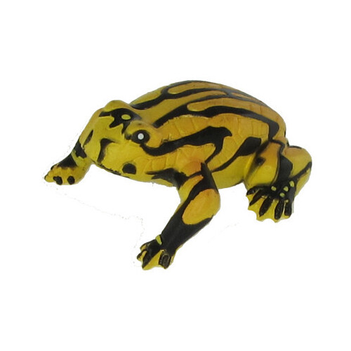 Science & Nature - Corroboree Frog