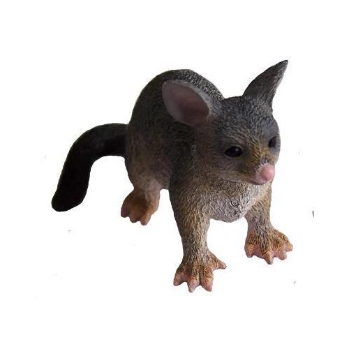 Science & Nature - Possum