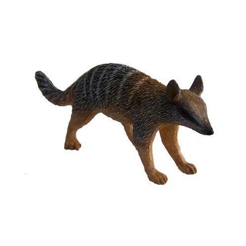 Science & Nature - Numbat
