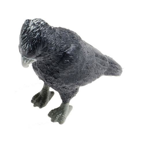 Science & Nature - Red-Tailed Black Cockatoo