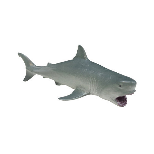 Science & Nature - Great White Shark