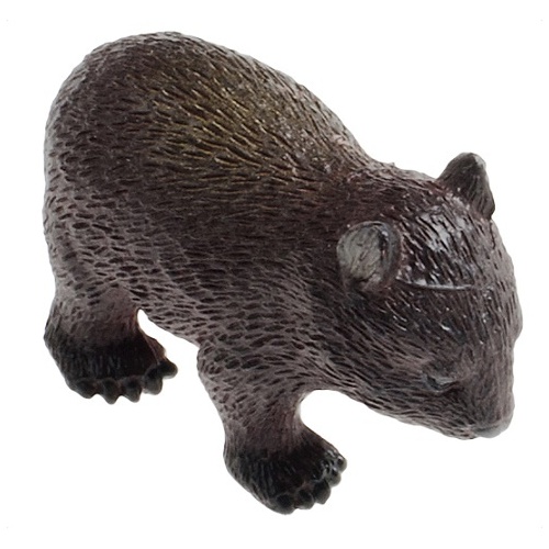Science & Nature - Wombat