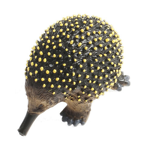 Science & Nature - Echidna