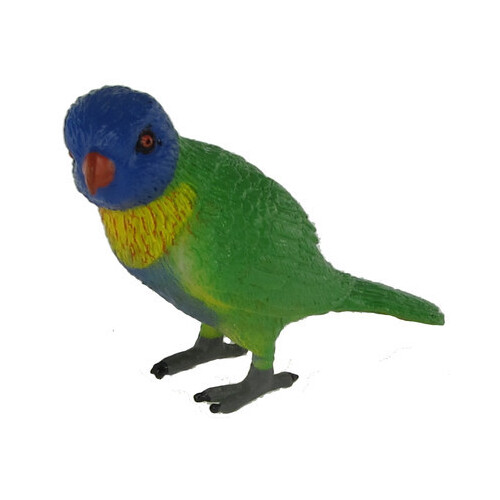 Science & Nature - Rainbow Lorikeet