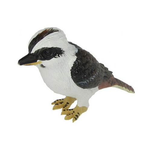 Science & Nature - Kookaburra