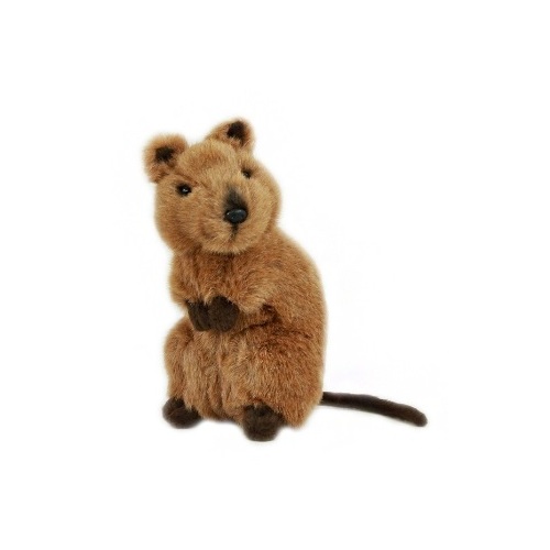 Bocchetta - Edward Quokka Plush Toy 21cm