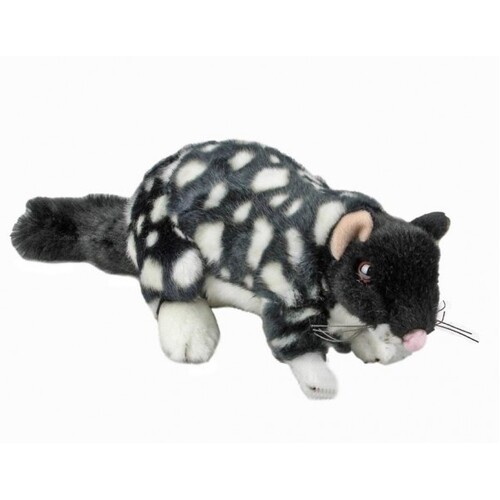 Bocchetta - Polka Eastern Quoll Plush Toy 20cm