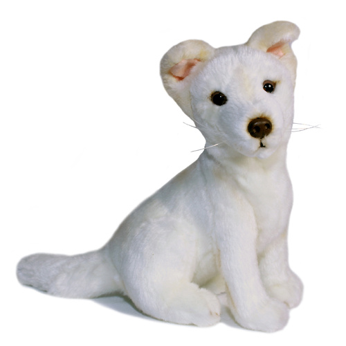 Bocchetta - Ivory White Dingo Plush Toy 25cm