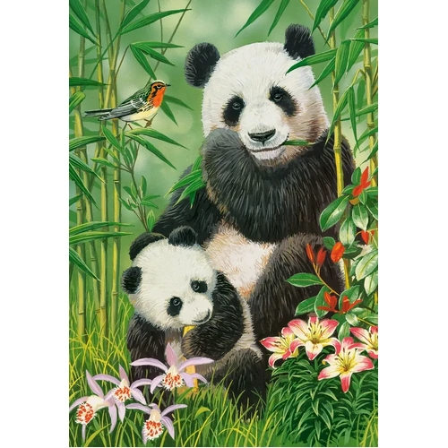 Castorland - Panda Brunch Puzzle 1000pc