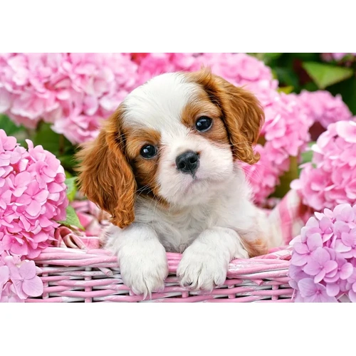 Castorland - Pup In Pink Flowers Puzzle 500pc