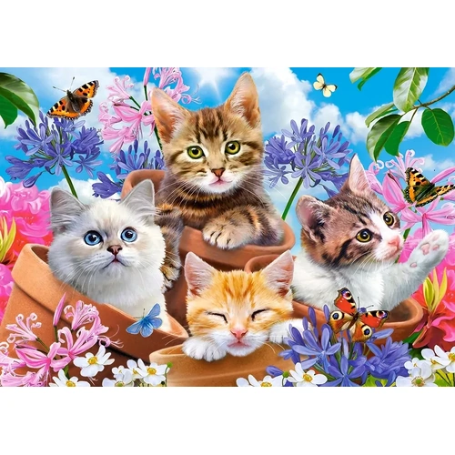 Castorland - Kittens with Flowers Puzzle 500pc