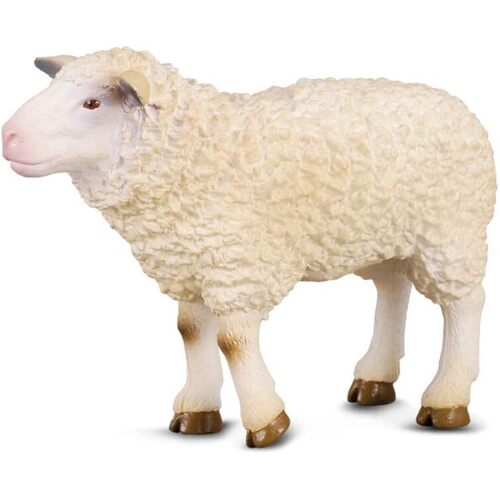 Collecta - Sheep 88008