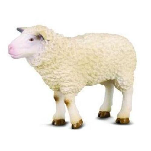 Collecta - Sheep 88008