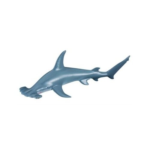 Collecta - Scalloped Hammerhead Shark 88045