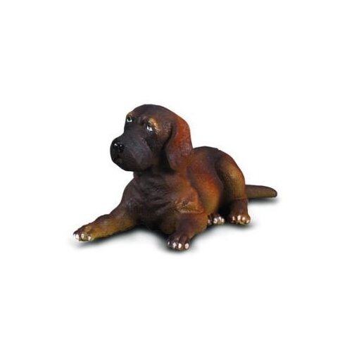 Collecta - Great Dane Puppy 88065