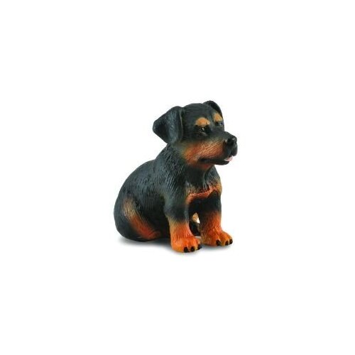 Collecta - Rottwieller Puppy 88190
