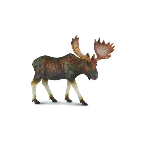 Collecta - Elk / Moose 88335