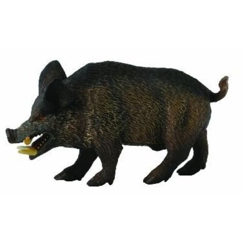 Collecta - Wild Boar 88363