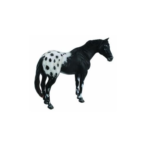 Collecta - Appaloosa Stallion Black 88437
