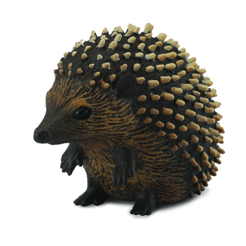 Collecta - Hedgehog 88458
