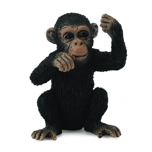 Collecta - Chimpanzee Cub Thinking 88495