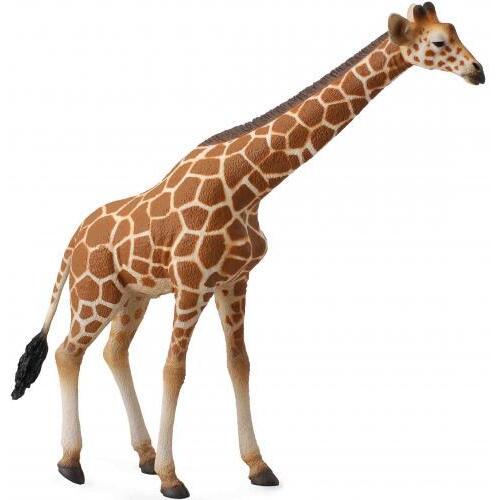 Collecta - Reticulated Giraffe 88534