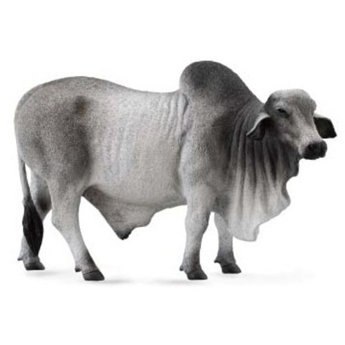 Collecta - Brahman Bull Grey 88579