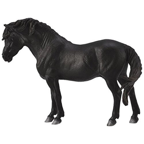 Collecta - Dartmoor Pony Black 88603