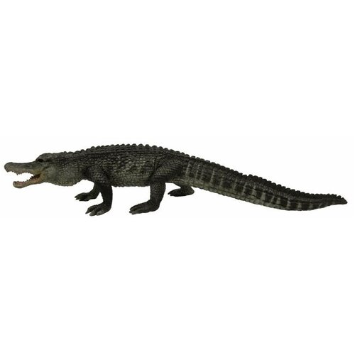 Collecta - American Alligator 88609