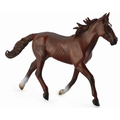 Collecta - Standardbred Pacer Stallion Chestnut 88644