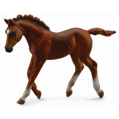 Collecta - Thoroughbred Foal Walking - Chestnut 88670
