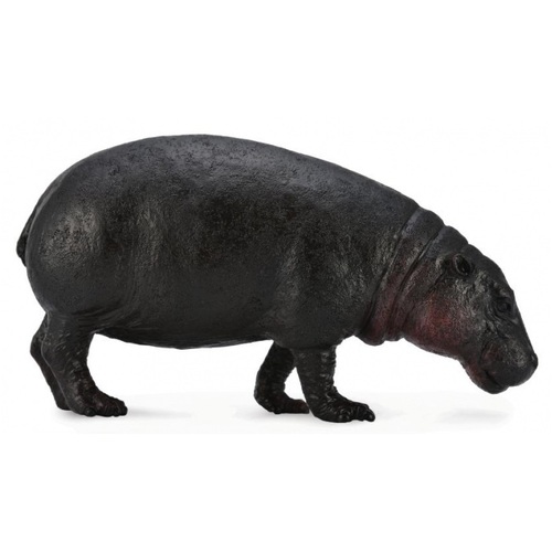 Collecta - Pygmy Hippopotamus 88686