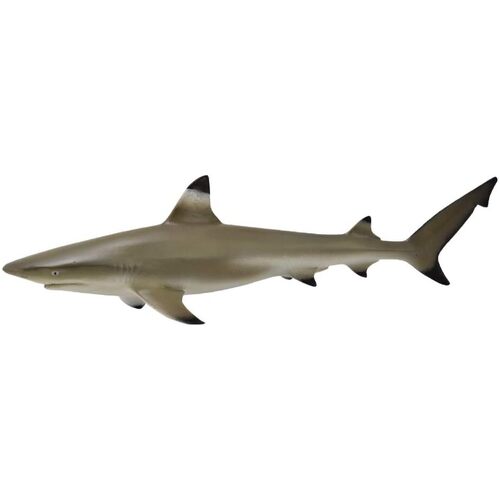 Collecta - Blacktip Reef Shark 88726