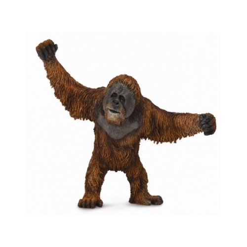 Collecta - Orangutan 88730