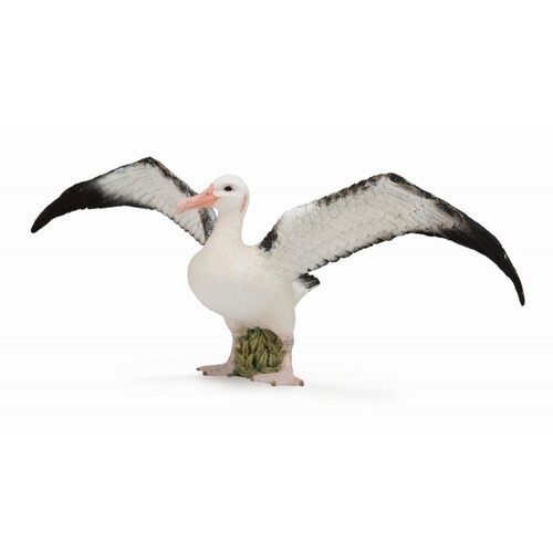 Collecta - Wandering Albatross 88765