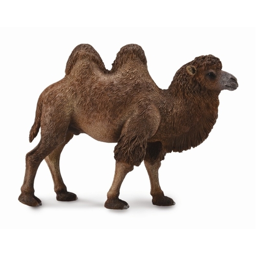 Collecta - Bactrian Camel 88807
