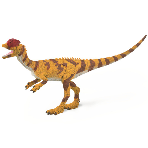 Collecta - Dilophosaurus 1:40 Scale 88923