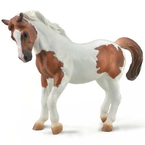Collecta - Chincoteague Pony Chestnut Pinto 88929
