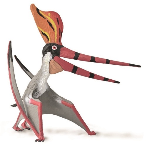 Collecta - Pteranodon Sternbergi with Moveable Jaw 88943